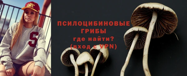 apvp Переславль-Залесский